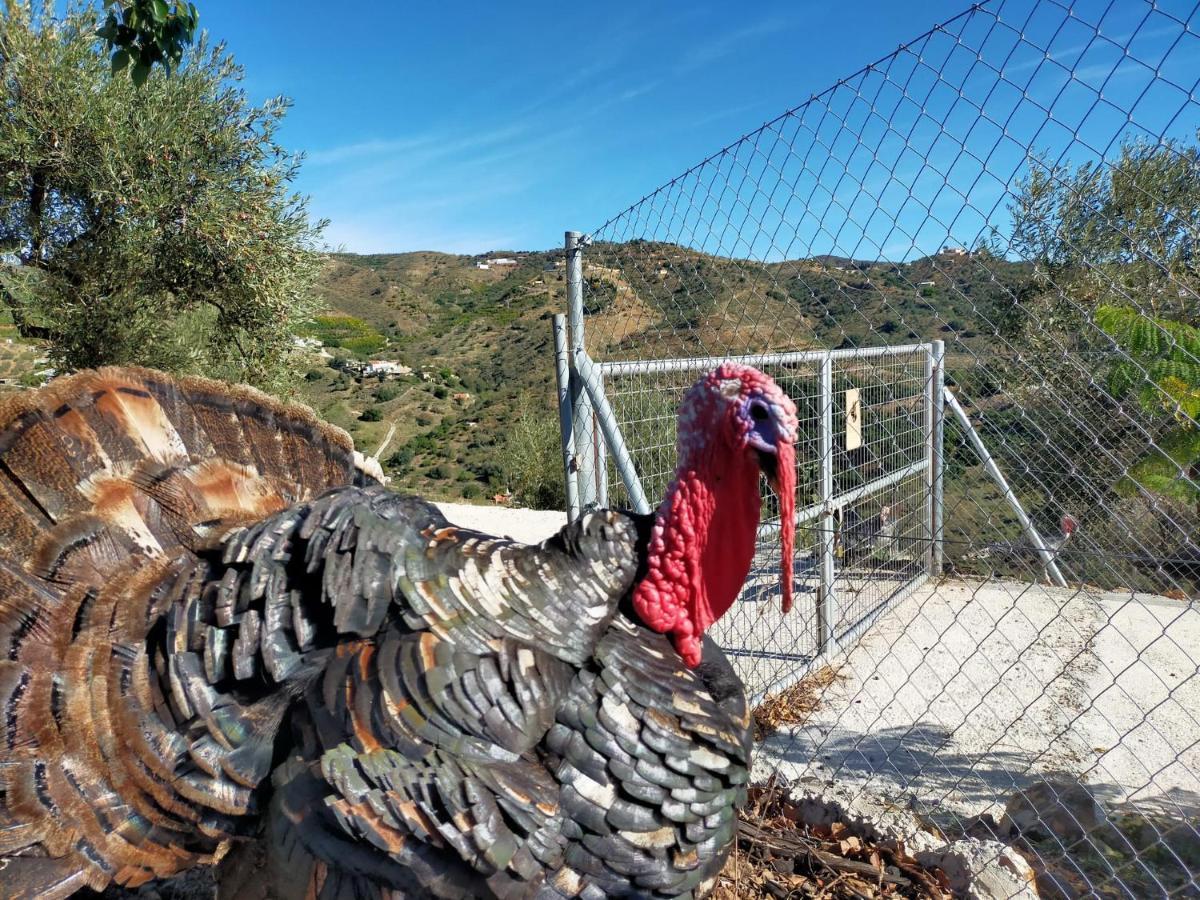 Paraje El Pozo Malaga Bagian luar foto