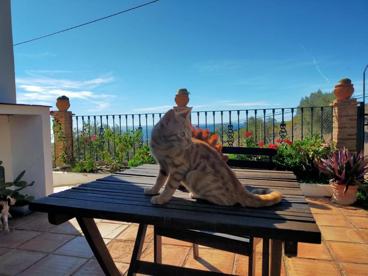 Paraje El Pozo Malaga Bagian luar foto