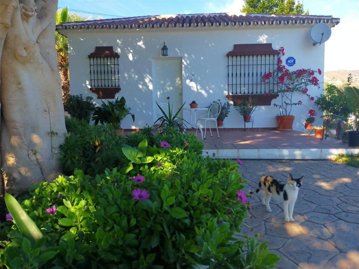 Paraje El Pozo Malaga Bagian luar foto