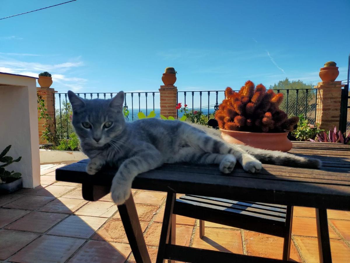 Paraje El Pozo Malaga Bagian luar foto