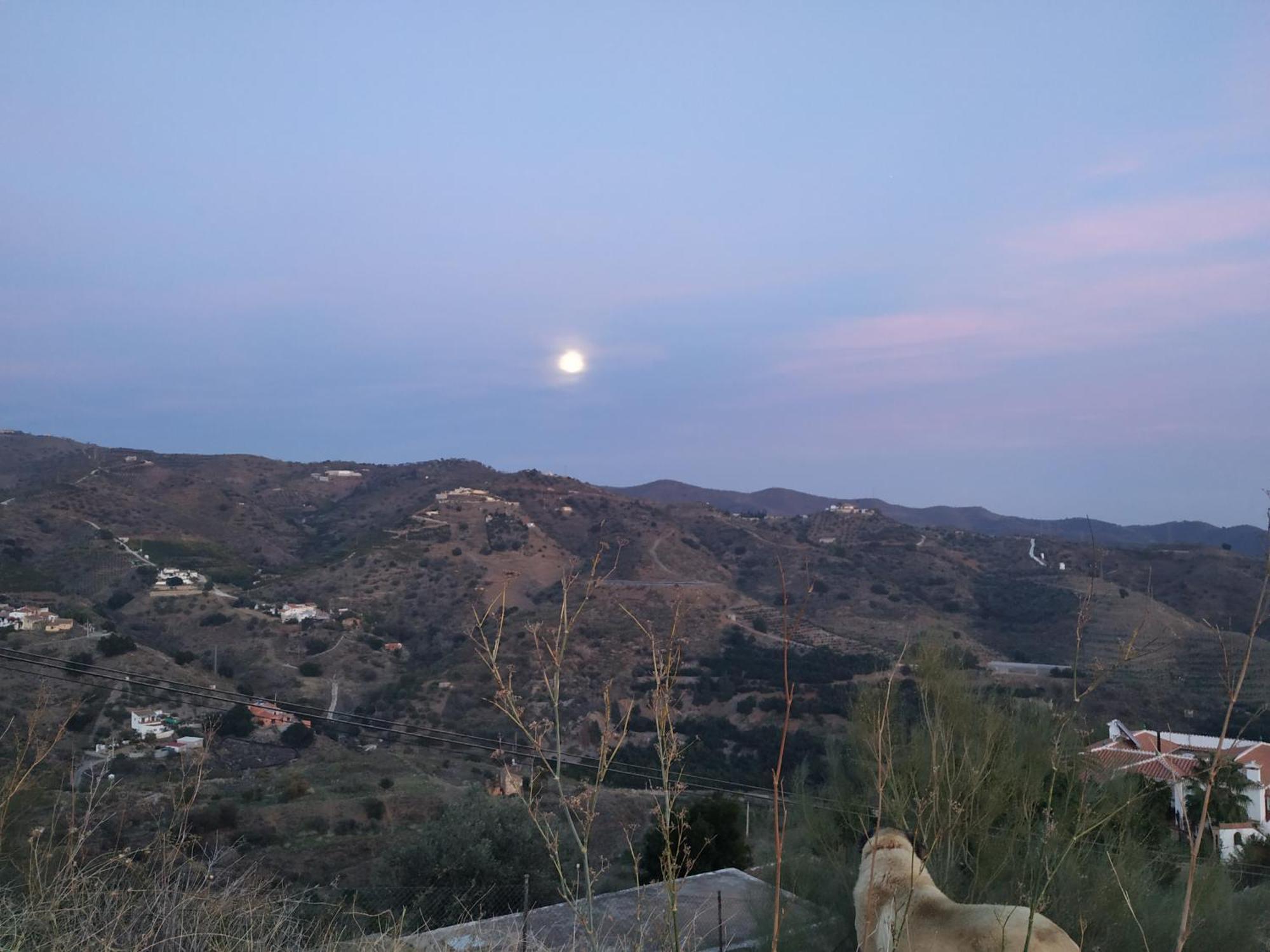 Paraje El Pozo Malaga Bagian luar foto