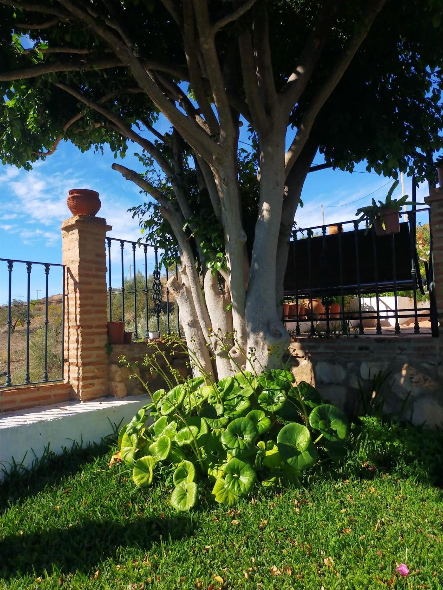 Paraje El Pozo Malaga Bagian luar foto