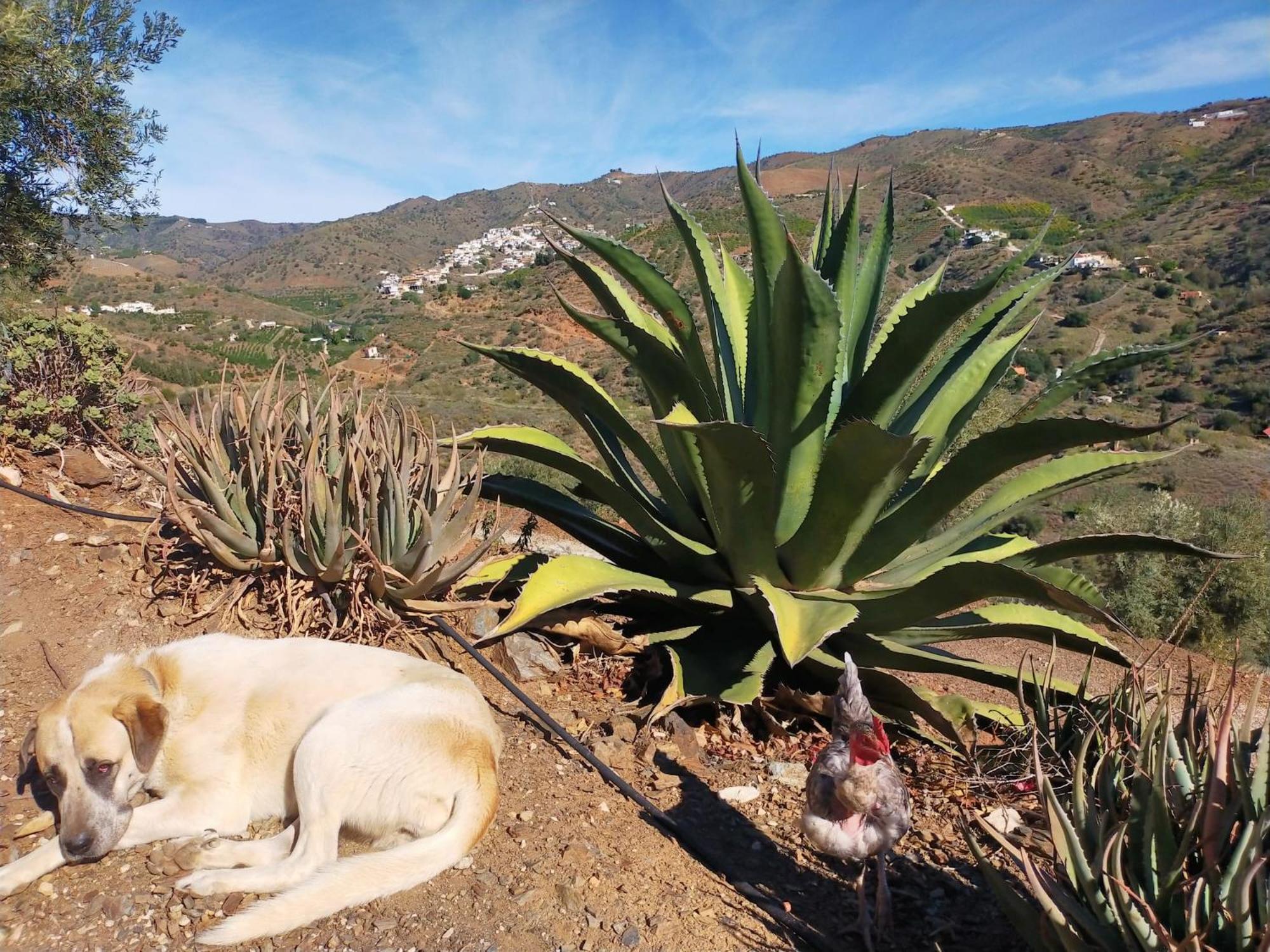 Paraje El Pozo Malaga Bagian luar foto